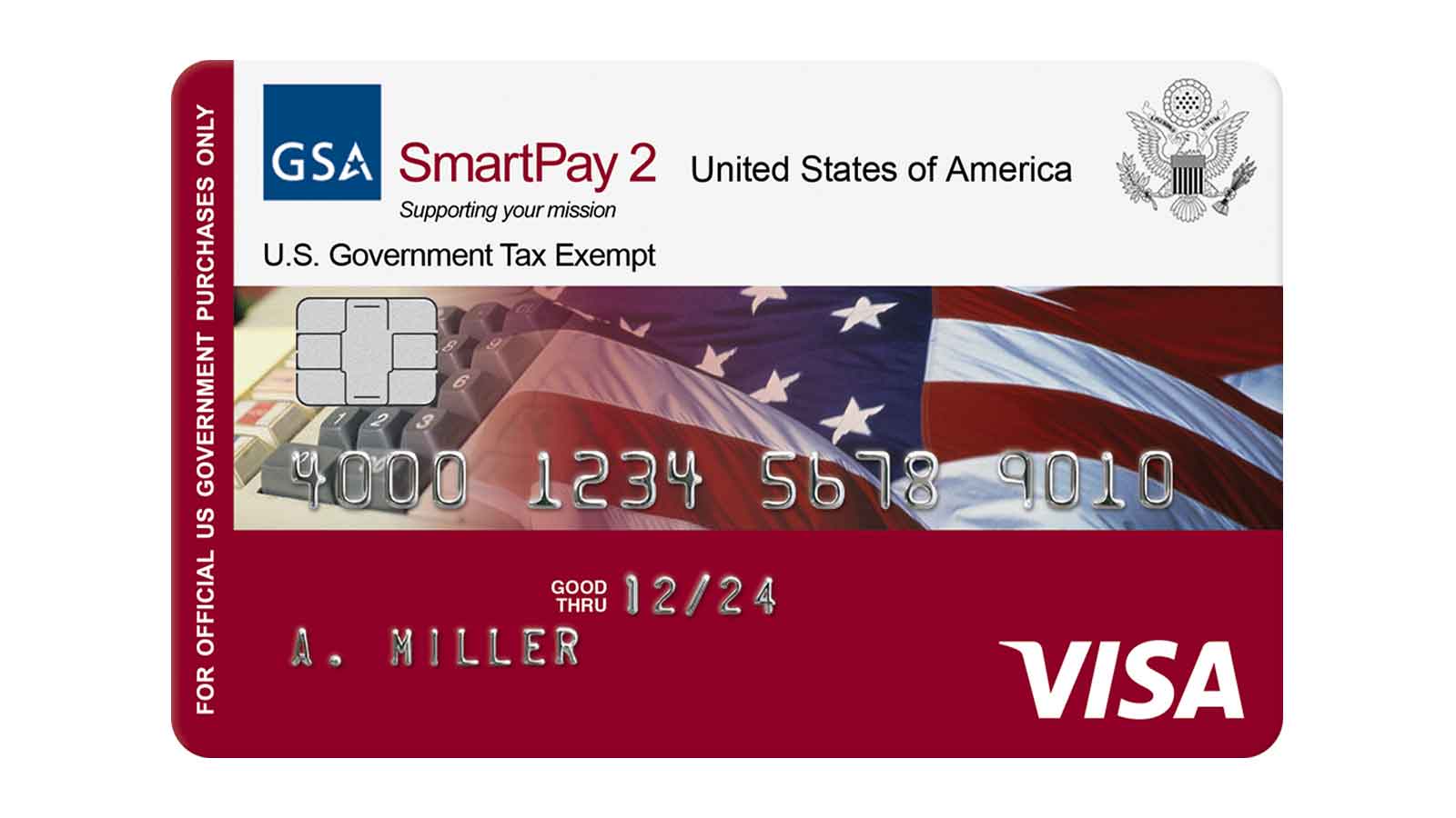 visa-gov-purchasing-1600x900