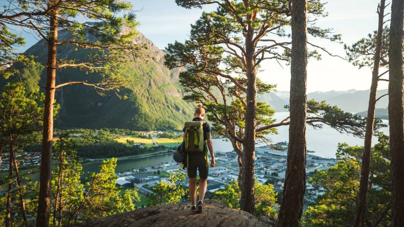 Hiker with backpack overlooking a mountain town through pine trees
