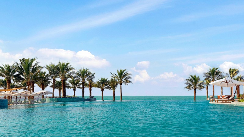 Infinity pool with palms by the sea.